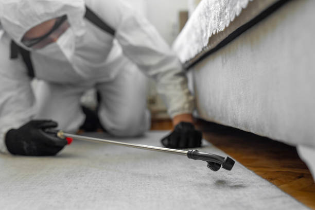 Professional Pest Control technician working in Alamance County County, NC